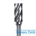 19x25 Tungsten Carbide Bur 6mm shank
